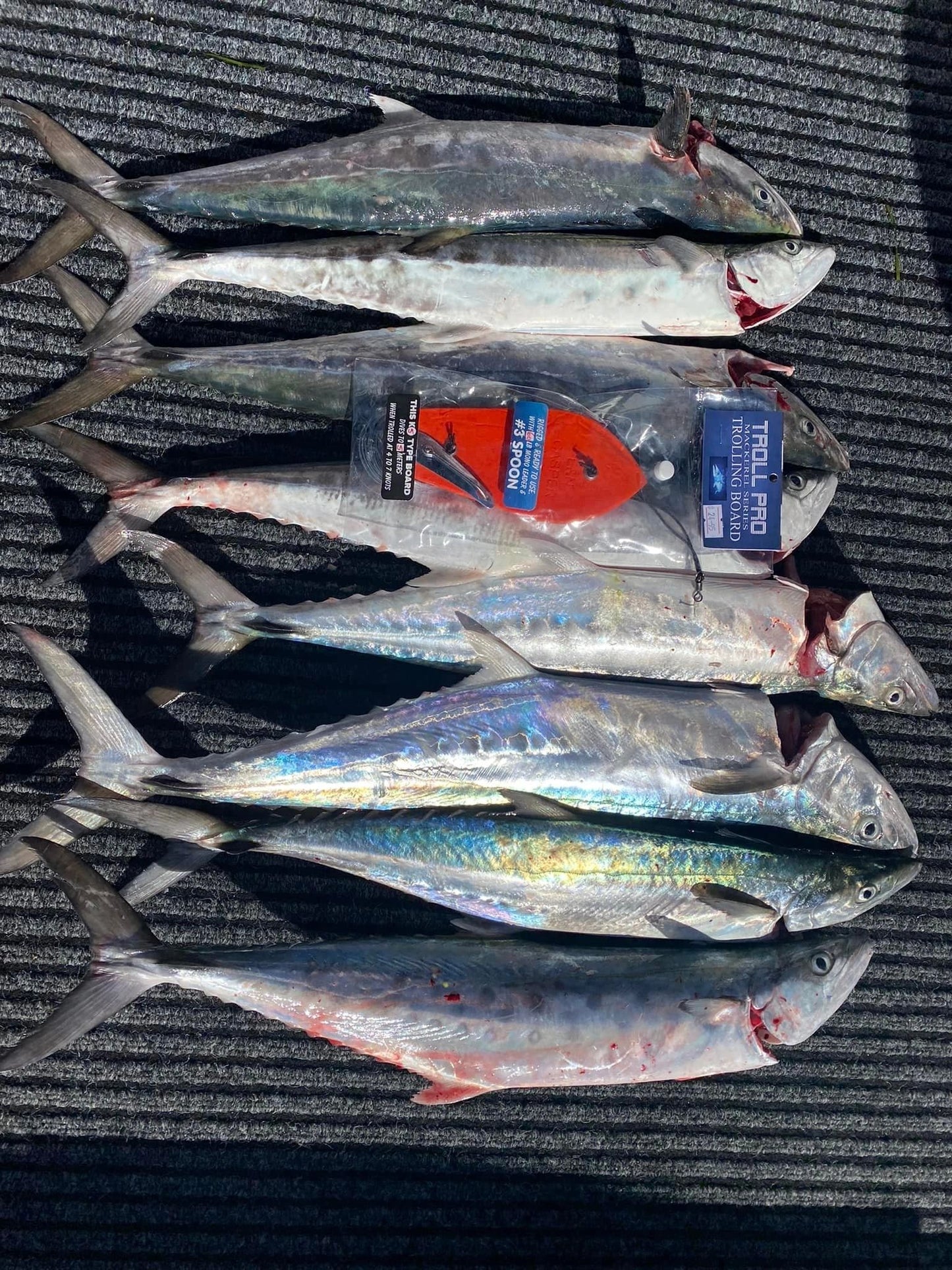 2 X K-5 TROLL PRO TROLLING BOARDS,RIGGED & READY TO USE