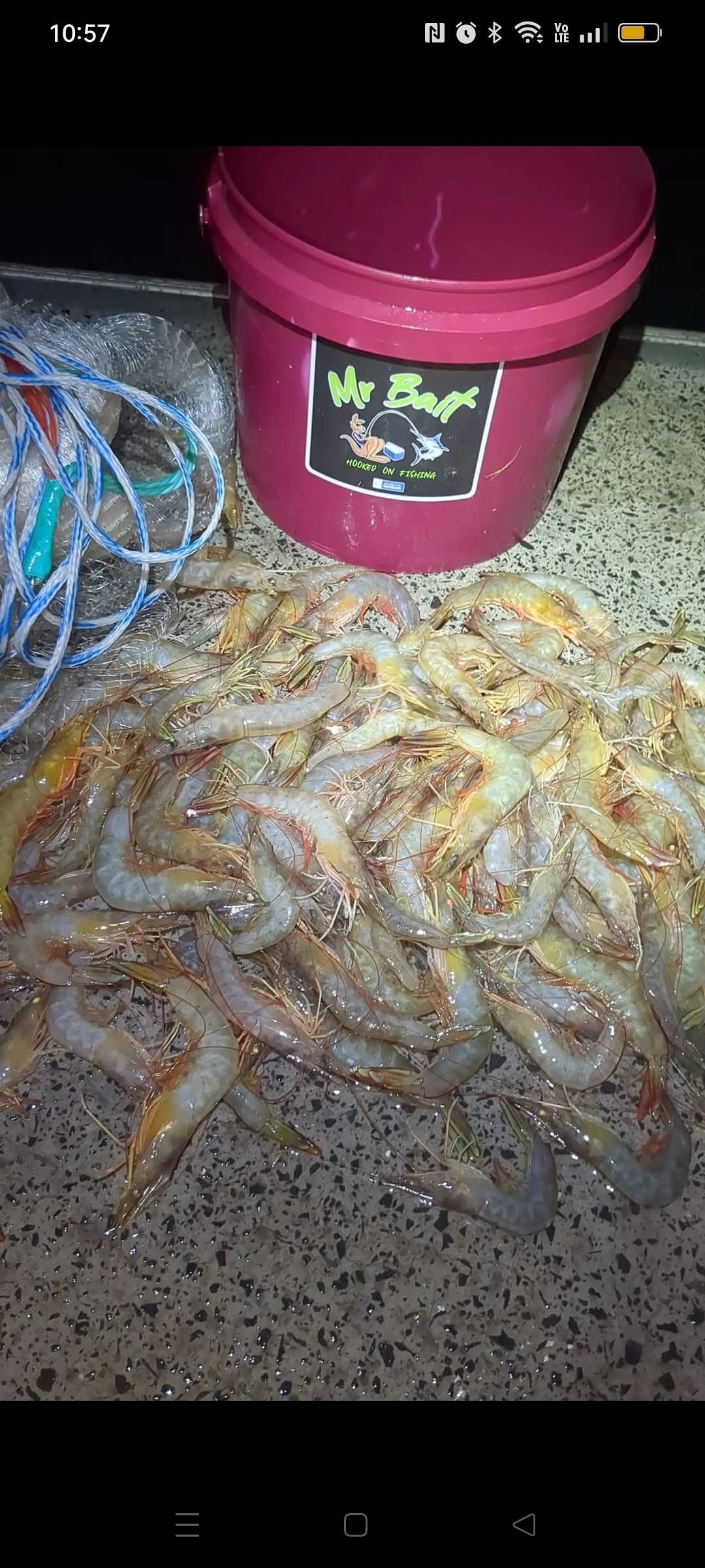10 foot Top and Bottom Cast Net