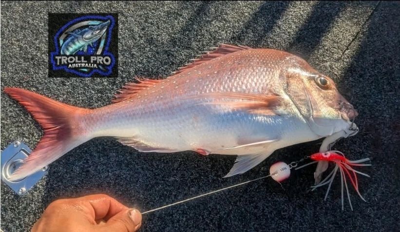 3 x 100g Kriptonite Lumo Glow Heads