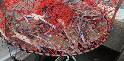 Pro Alloy Uprights Crab Pot 900mm ORANGE 4entry